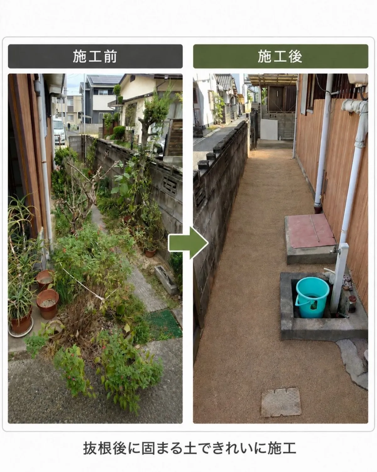 抜根・整地：施工前・施工後の比較写真