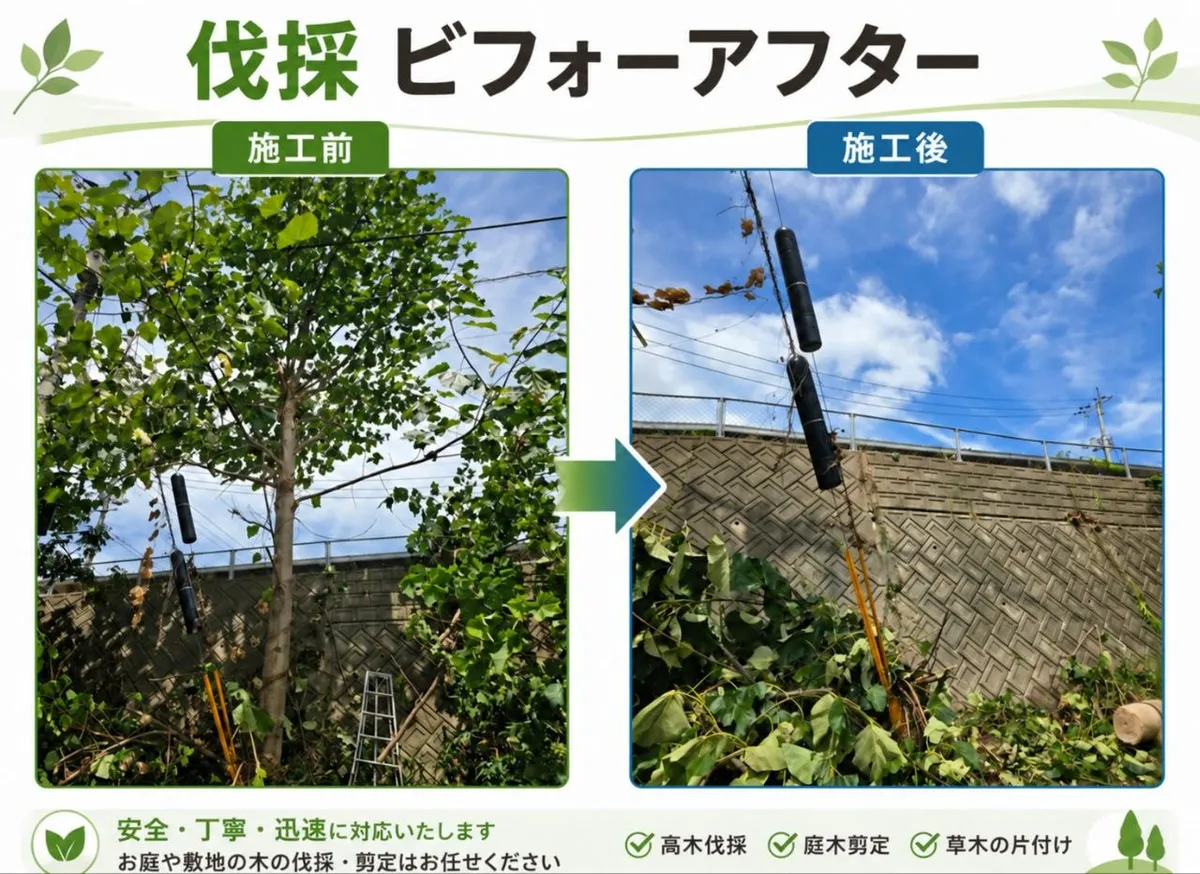 伐採：施工前・施工後の比較写真